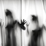 tumblr mn5yz03IbP1qilmzgo1 1280
