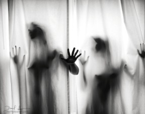 tumblr mn5yz03IbP1qilmzgo1 1280
