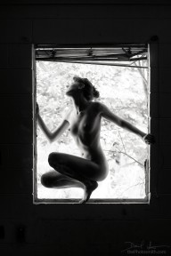 tumblr mx1kucLiVC1qilmzgo1 1280