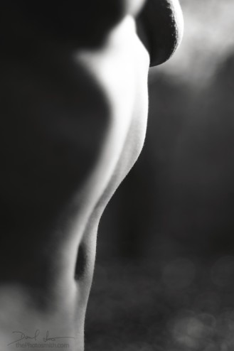 divisor
