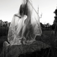 tumblr n1pv5r5Tvh1qilmzgo1 1280
