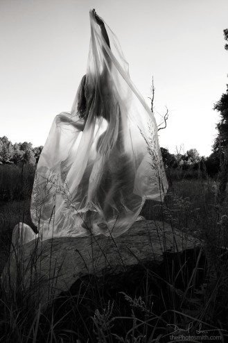 Untitled post 3247