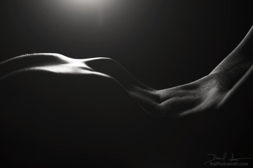 stealing shadows