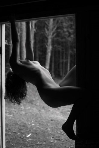 anfractuosity