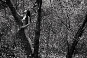 the risk it took to blossom - Just Jules nude by Photosmith